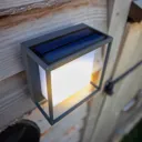 Curtis LED solar light, motion sensor