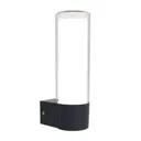 Dropa LED outdoor wall light, RGBW smart