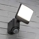 Sunshine LED outdoor spotlight, motion detector