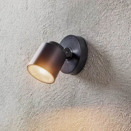 Explorer LED outdoor wall light