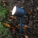 Explorer LED ground spike spotlight