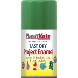 Plastikote Dry Enamel Aerosol Spray Paint - Garden Green, 100ml