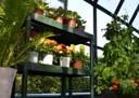 Palram - Canopia 2 tier Greenhouse staging