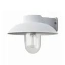 Mani outdoor wall light, clear glass, white