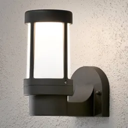 Stylish Siena outdoor wall light, black