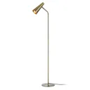 Peak floor lamp, variable, antique brass