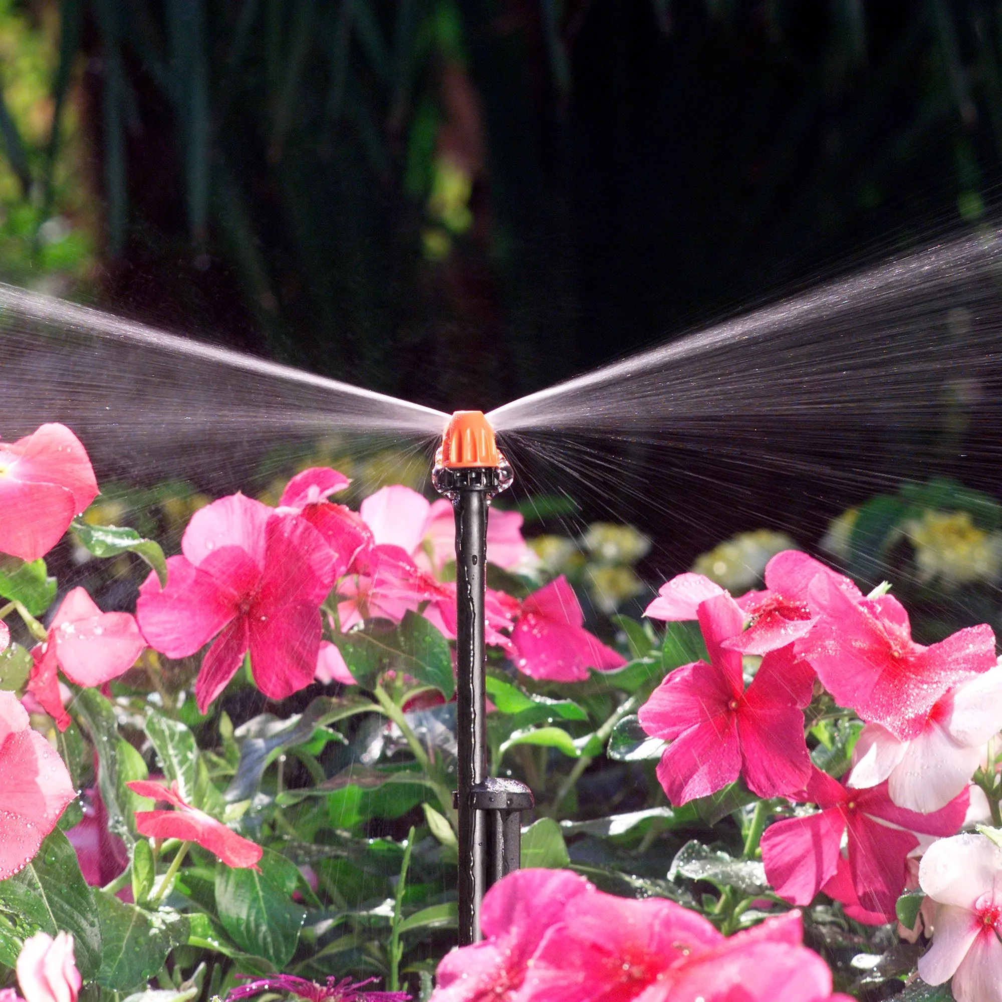 Claber Strip Micro-sprinkler