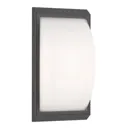 053 outdoor wall light, motion detector, graphite