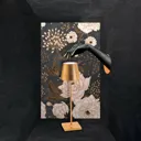 Poldina LED table lamp, decoration portable copper