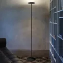 Joshua LED floor lamp in white