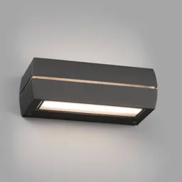 Dragma LED outdoor wall light