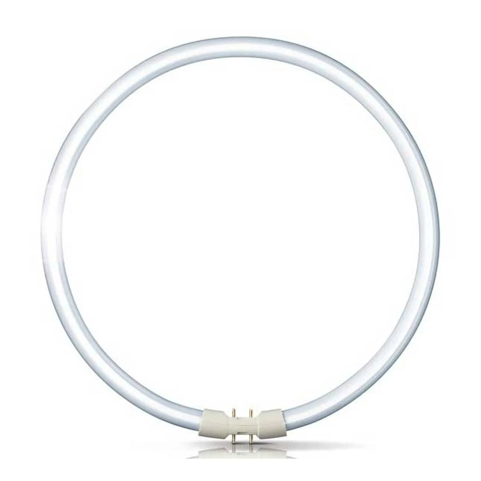 2GX13 22W 840 Ring-fluorescent bulb Master TL5