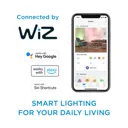 Philips WiZ B22 60W LED Cool white & warm white A60 Filament Smart Light bulb