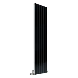 Reina Flat anthracite grey vertical double panel steel designer radiator
