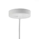 EGLO connect Riodeva-C LED pendant light white