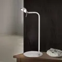 Student LED table lamp with a pivotable head