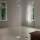 Student LED floor lamp with a pivotable head