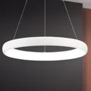 Venus ring-shaped LED hanging light