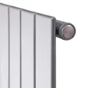 Ximax Vertirad Horizontal or vertical Designer Radiator, Silver effect (W)595mm (H)1800mm