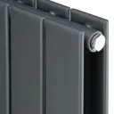 Ximax Vertirad Duplex Universal Horizontal or vertical Designer Radiator, Anthracite (W)295mm (H)1800mm